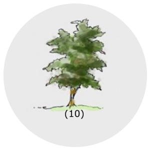 Copa irregular fechada